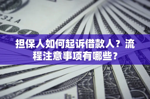 北京担保人如何起诉借款人？流程注意事项有哪些？